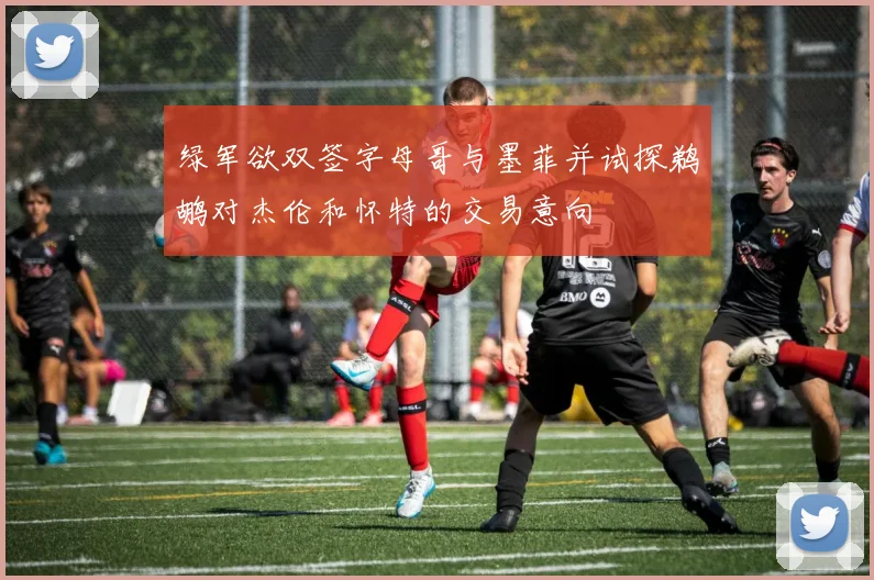 绿军欲双签字母哥与墨菲并试探鹈鹕对杰伦和怀特的交易意向